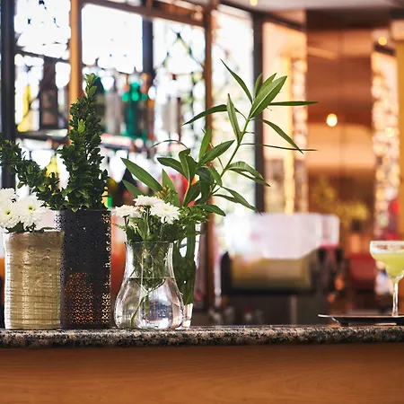 Louis Phaethon 4* Geroskipou