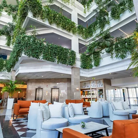 Louis Phaethon Feriested